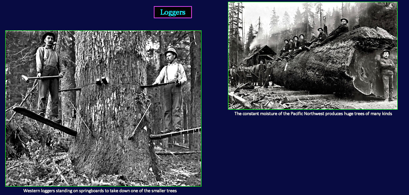 Northwest loggers, 1910